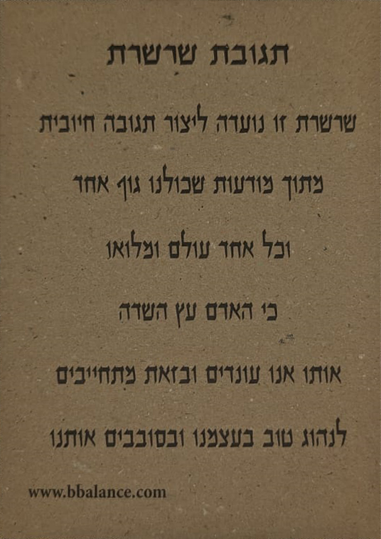 הכרטיס המצורף לשרשרת